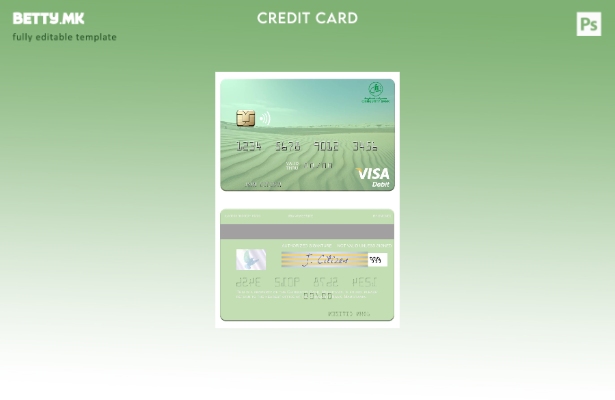 Модерен стил Шаблон за виза за дебитна картичка Мавританија Chinguitty Bank